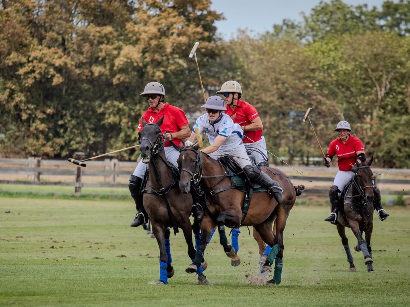 Polo-Spiel beim Niederrhein-Renntag